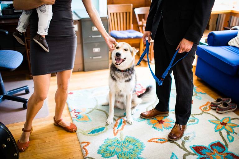 Habitat Sanctuary Wedding Dog