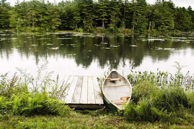 canoe at tolgy wood